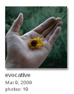 Evocative - Photography by Keith Adams
