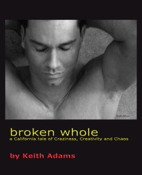 Provisional Cover Art for Broken Whole: a California tale of Craziness, Creativity and Chaos