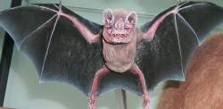 Someone I met in a bar in Chelsea :)