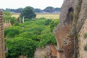 The overgrown ruins