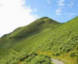 Half way up - the view to the top.