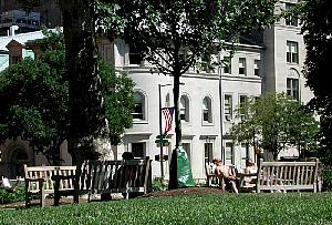 View from where I was lying in Rittenhouse Square.