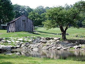Before long, I was in the Berkshires, that beautiful, bucolic region of forests, mountains, hills and international
art festivals. This composition I'm calling "Pond, Old Tree and Carefully Dilapidated Wooden Shed."
