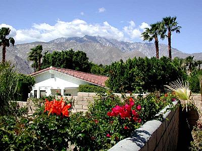 The View from Ed's Back Yard